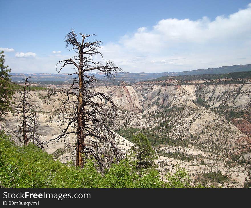 The picture of Zion Landscape taken on West Rim Trail. The picture of Zion Landscape taken on West Rim Trail