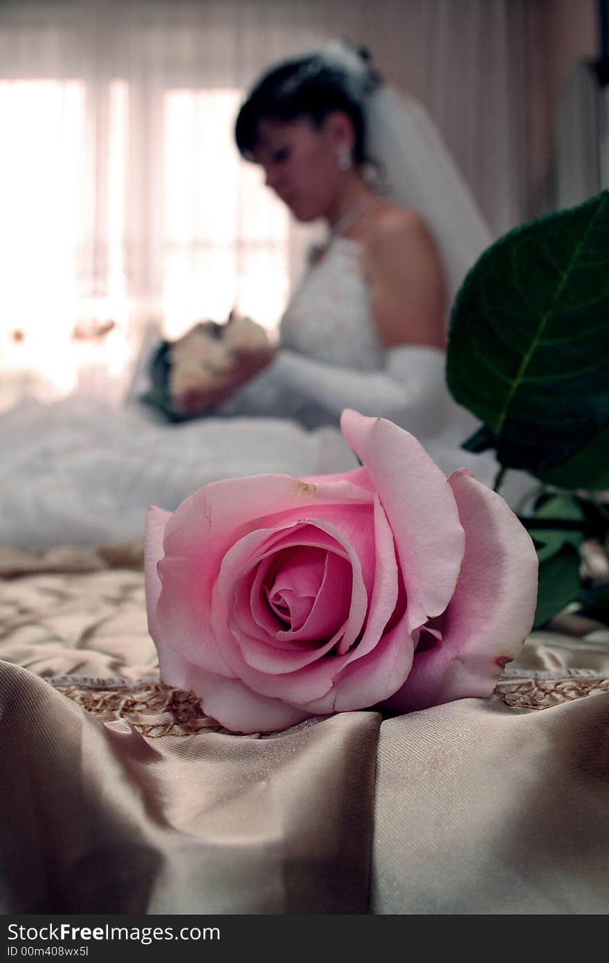 Pink rose and bride on the background