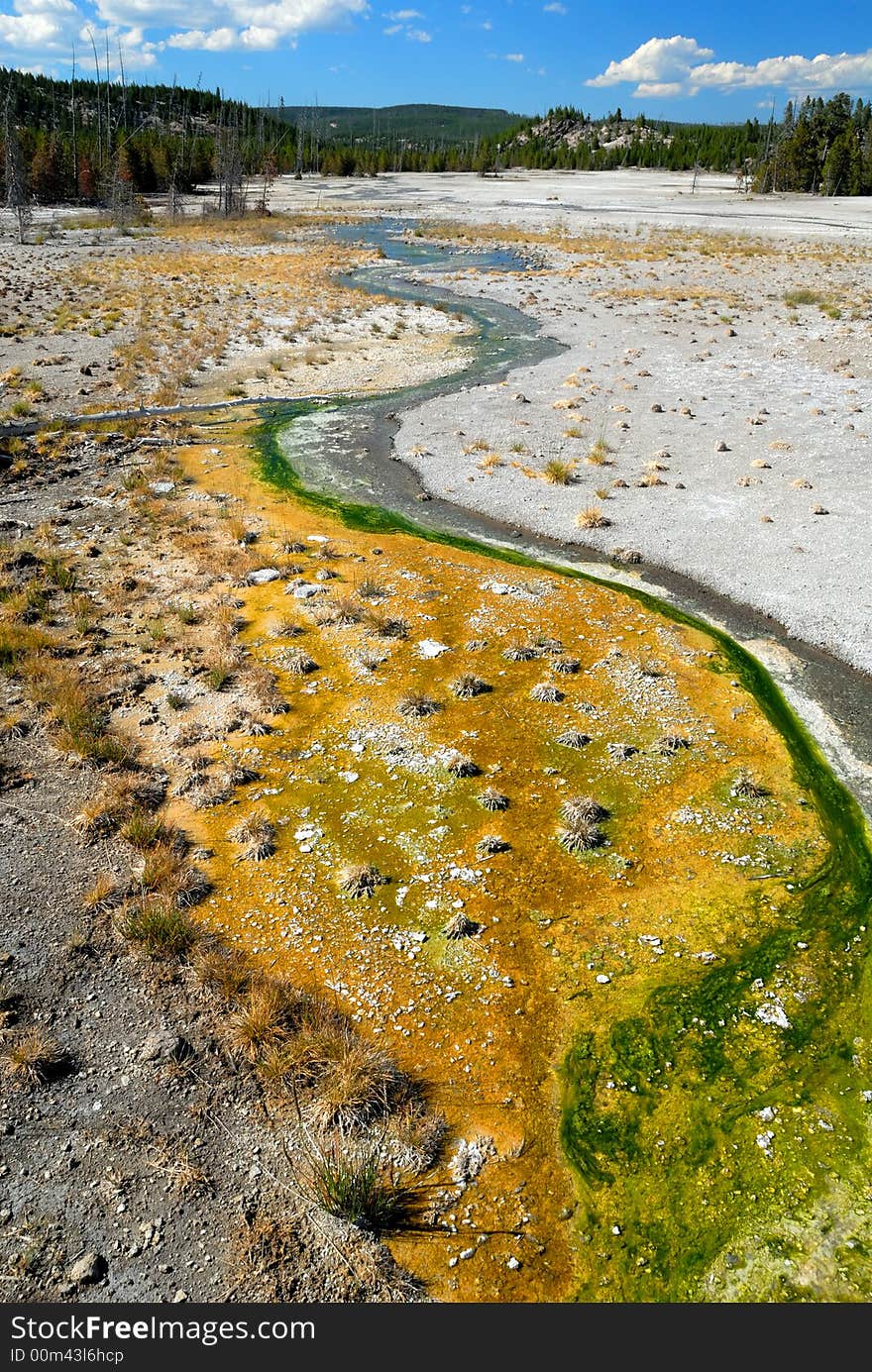 Norris Geyser terrain