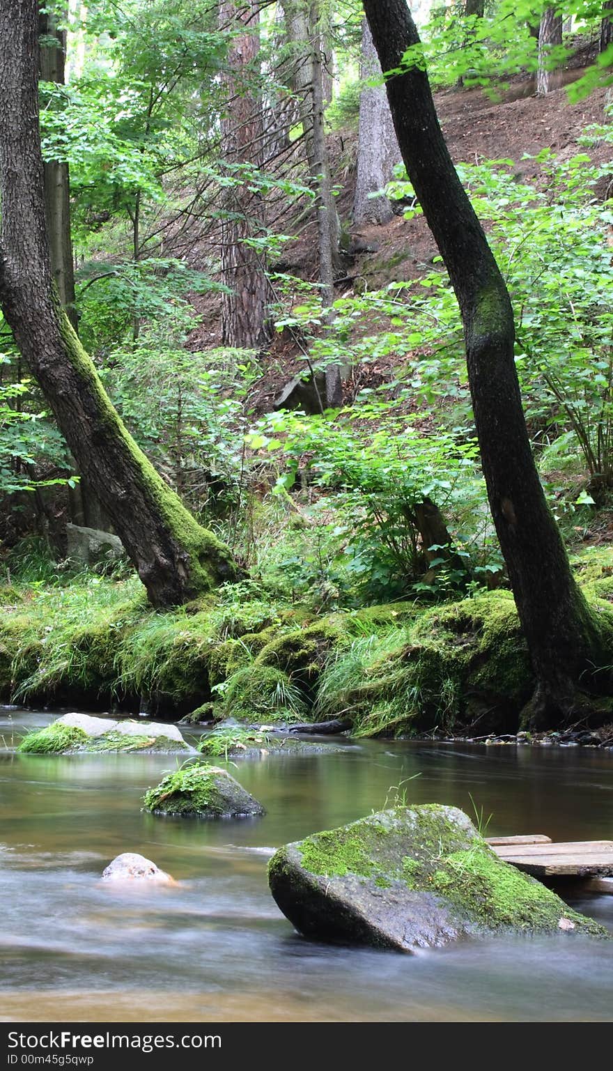 Typical czech country small river in the forest. Typical czech country small river in the forest