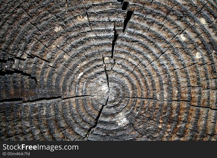 Old wood natural  background with typical structure. Old wood natural  background with typical structure