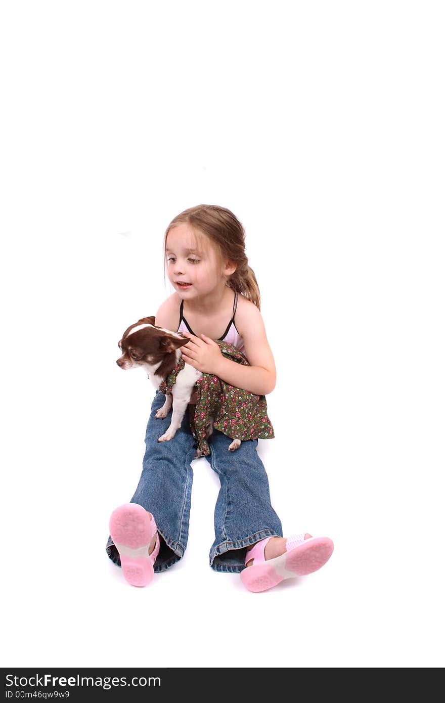 Small girl and her chihuahua on the white background. Small girl and her chihuahua on the white background