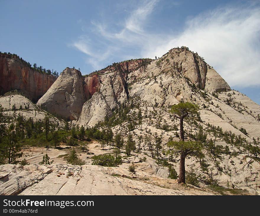 The picture taken on West Rim Trail in Zion National Park. The picture taken on West Rim Trail in Zion National Park