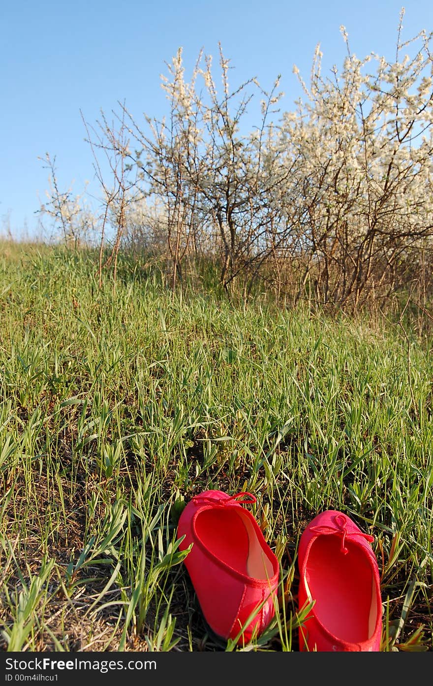 Red slippers and grass and blossom. Red slippers and grass and blossom