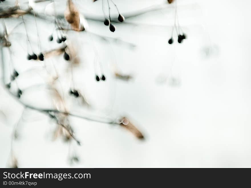 Abstract autumn background without sharpness soft effect unique manual lens 85mm f 1.1 Self-made. Abstract autumn background without sharpness soft effect unique manual lens 85mm f 1.1 Self-made