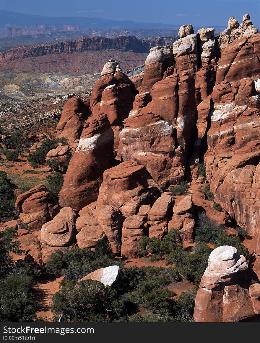 Desert Forms