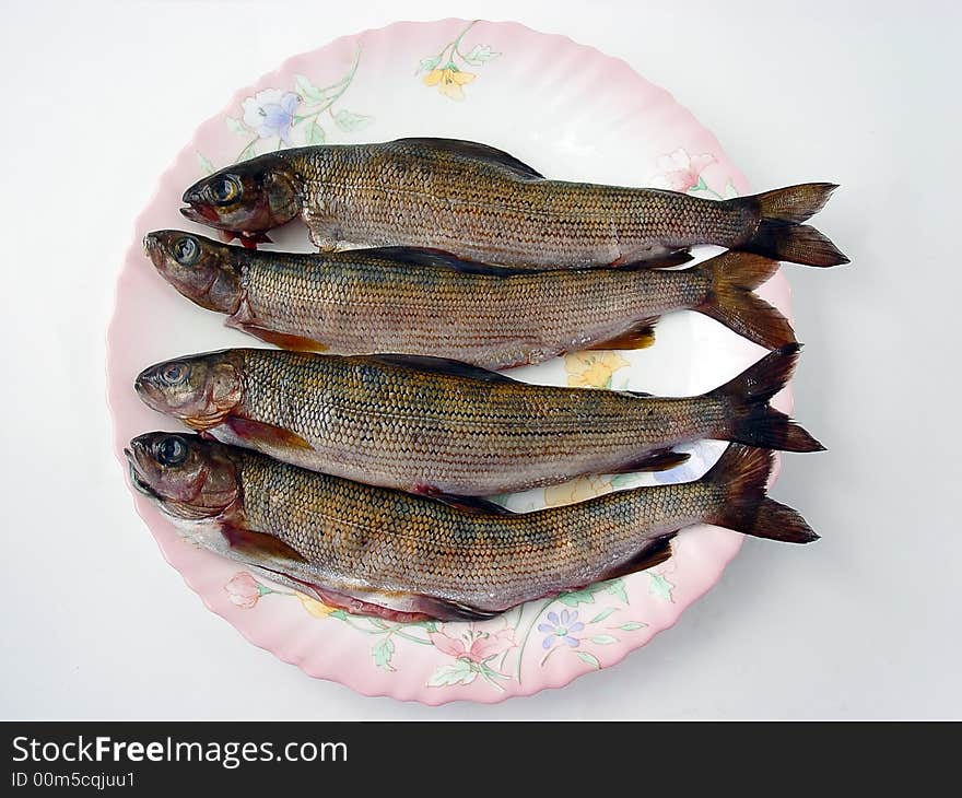 Four grayling fishes on the porcelain plate