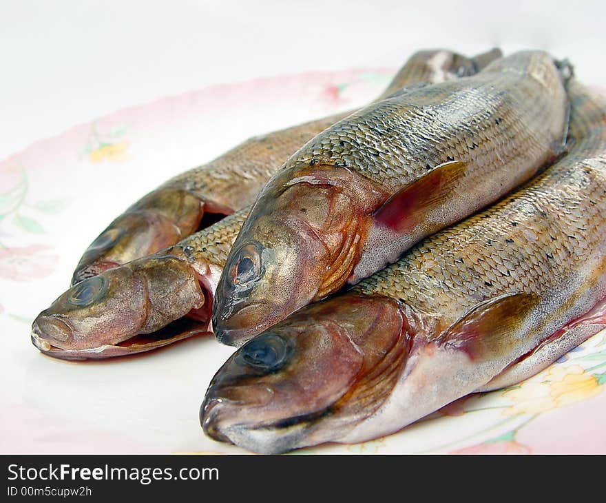 Closeup four grayling fishes on the porcelain plate