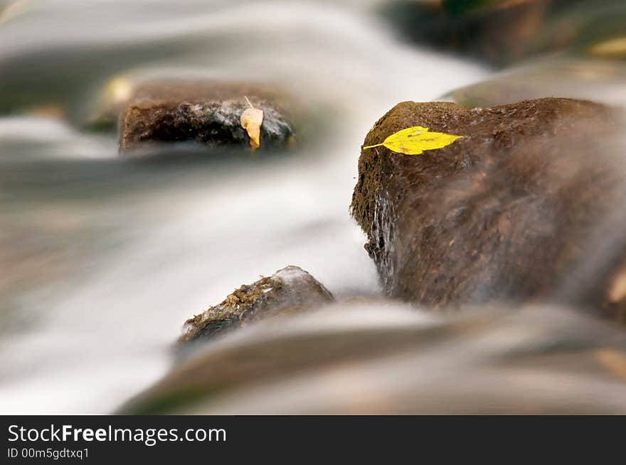 Amongst a river