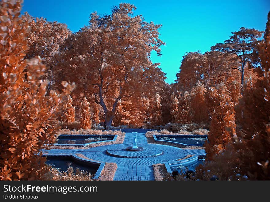 Infrared photo – tree and park