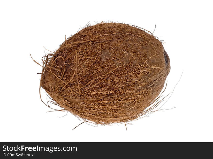 Coconut isolated on white background, no shade so its easy to select and edit