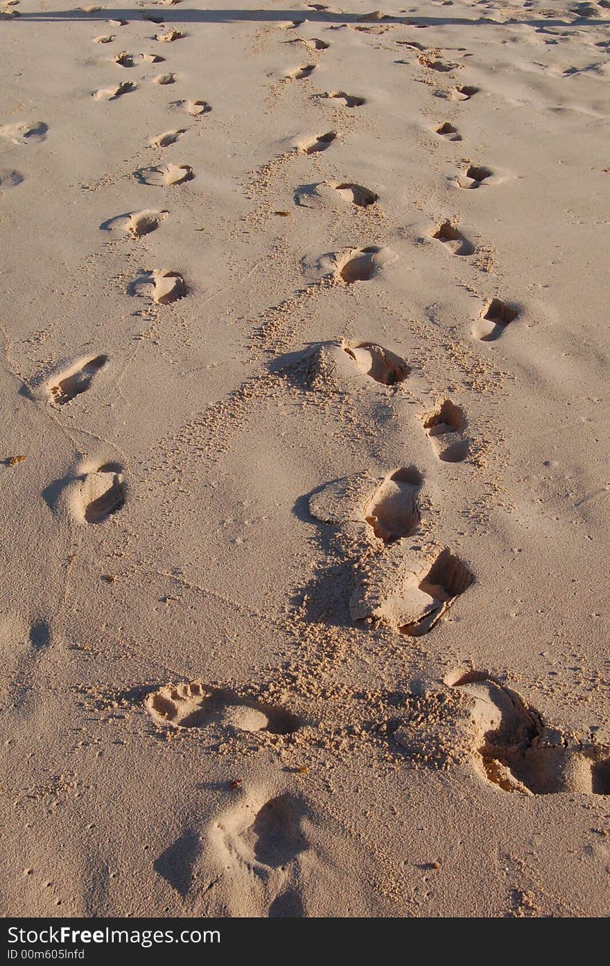 Footsteps on sand beach