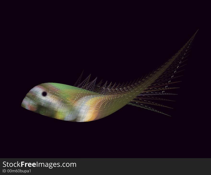 An exotic fish creation on a black background. An exotic fish creation on a black background