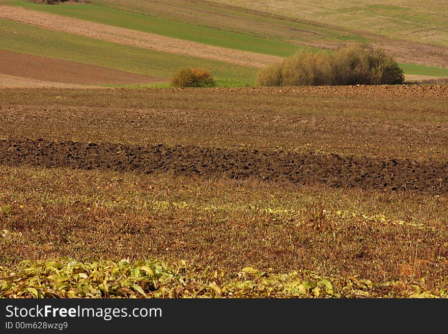 The agricultural field in the autumn. The agricultural field in the autumn.