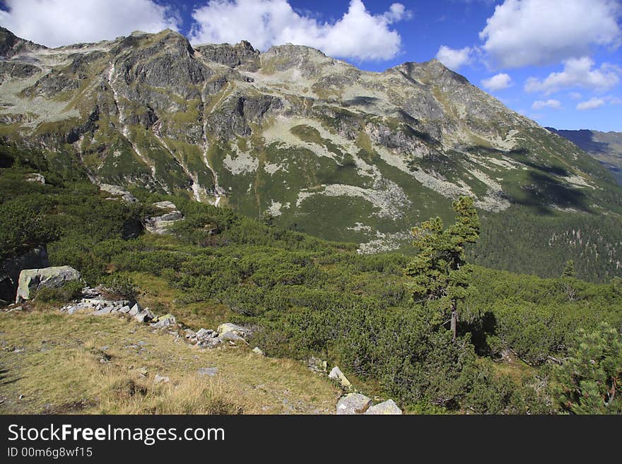 Alpine mountain with tree and clouds