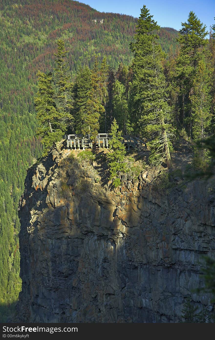 The high fur-trees growing on high rocky breakage. The high fur-trees growing on high rocky breakage