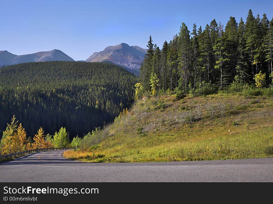 Picturesque road and trees with yellow and green foliage in mountain reserve. Picturesque road and trees with yellow and green foliage in mountain reserve