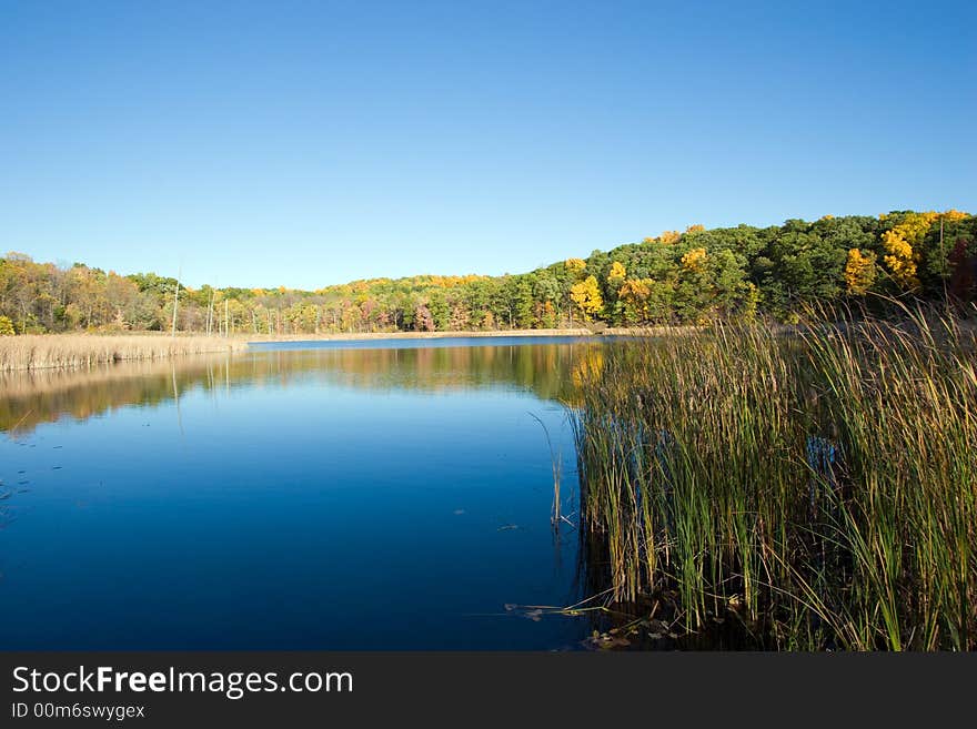 Fall pond with a blue sky and autumn trees