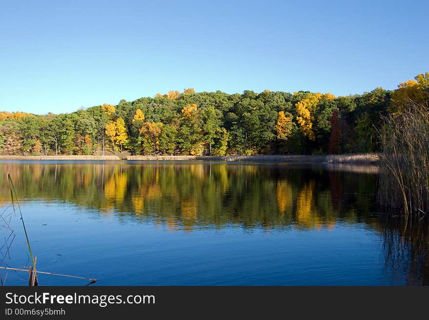 Fall pond with a blue sky and autumn trees