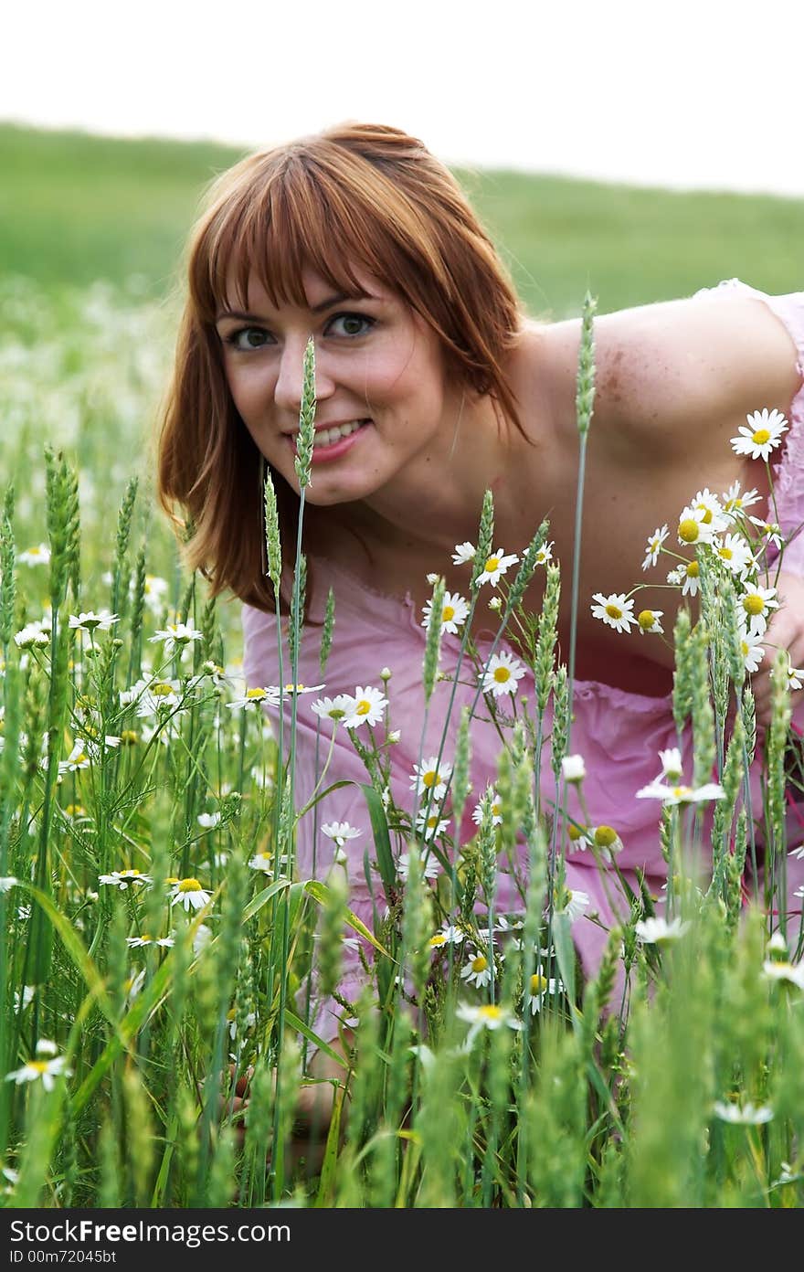 The beautiful girl on a meadow