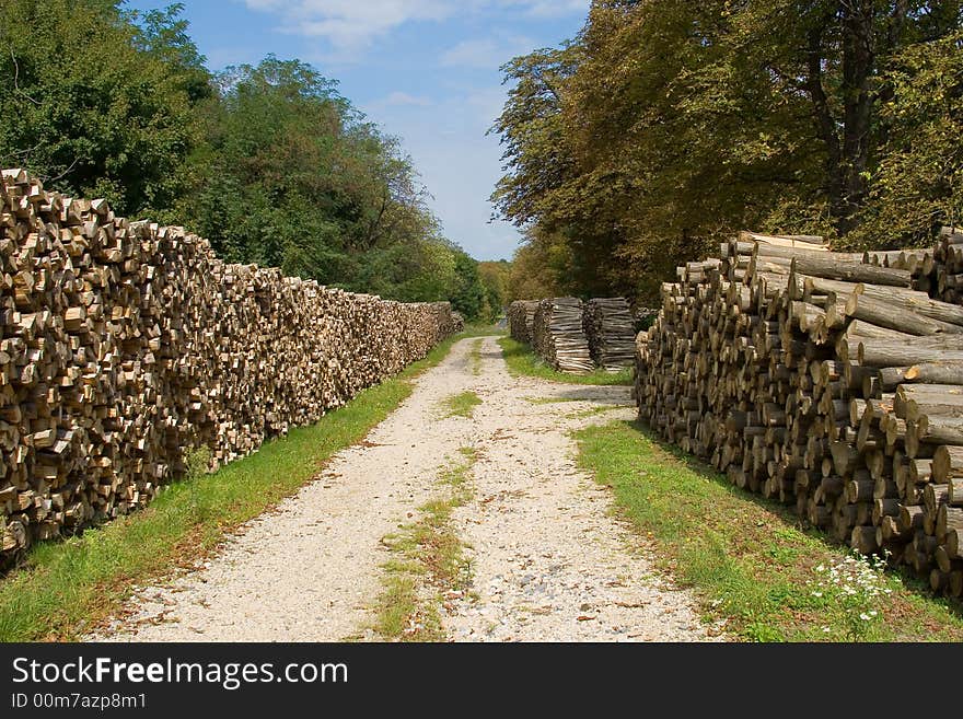 He is a woodpile waiting for transport, which is used for a power station's heating. He is a woodpile waiting for transport, which is used for a power station's heating.