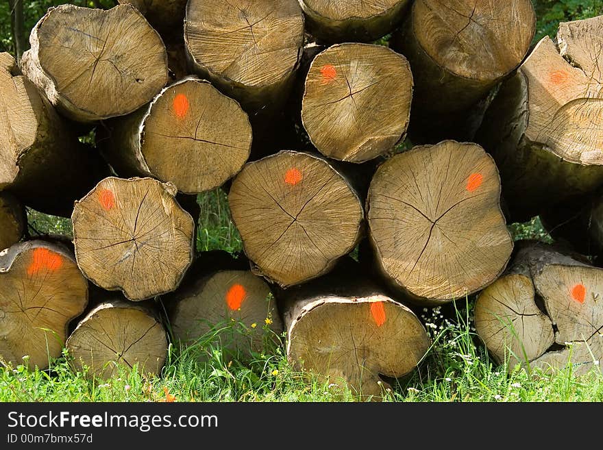 He is a woodpile waiting for transport, which is used for a power station's heating. He is a woodpile waiting for transport, which is used for a power station's heating.