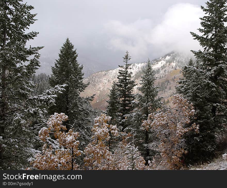 Mountain first snow