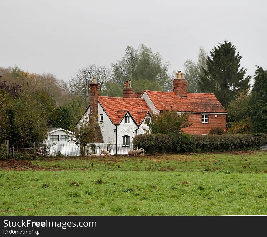 English Rural Cottages