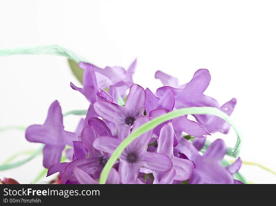 Shoot of nice abstract composition with flowers.