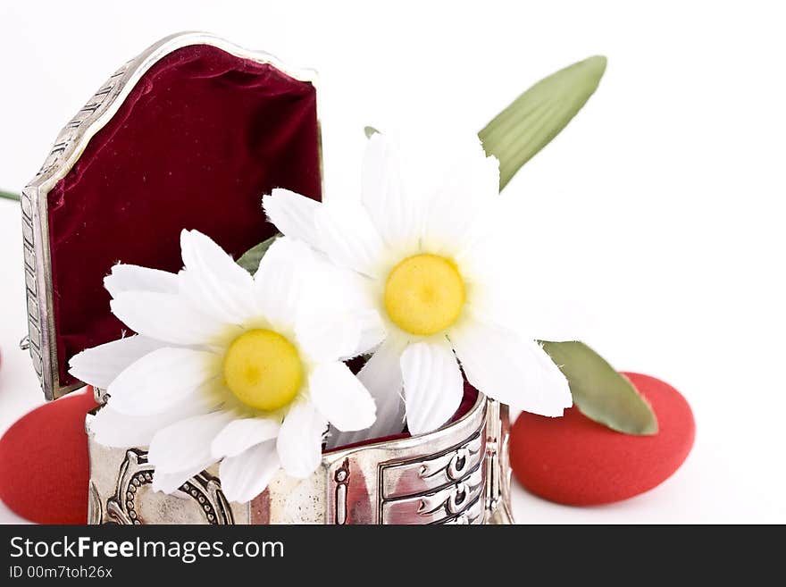 Shoot of nice abstract composition with flowers.