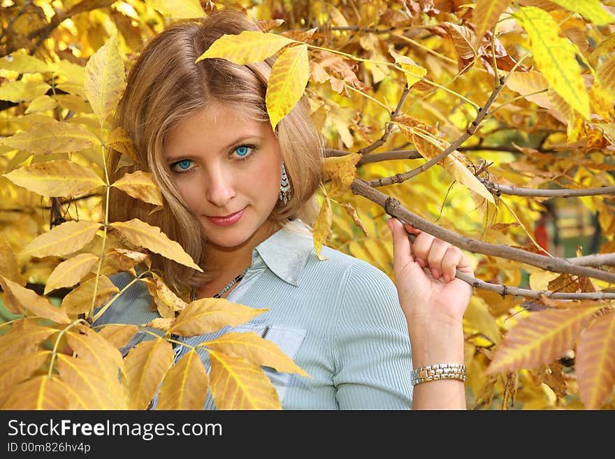 Blue-eyed blond among yellow leaves. Blue-eyed blond among yellow leaves