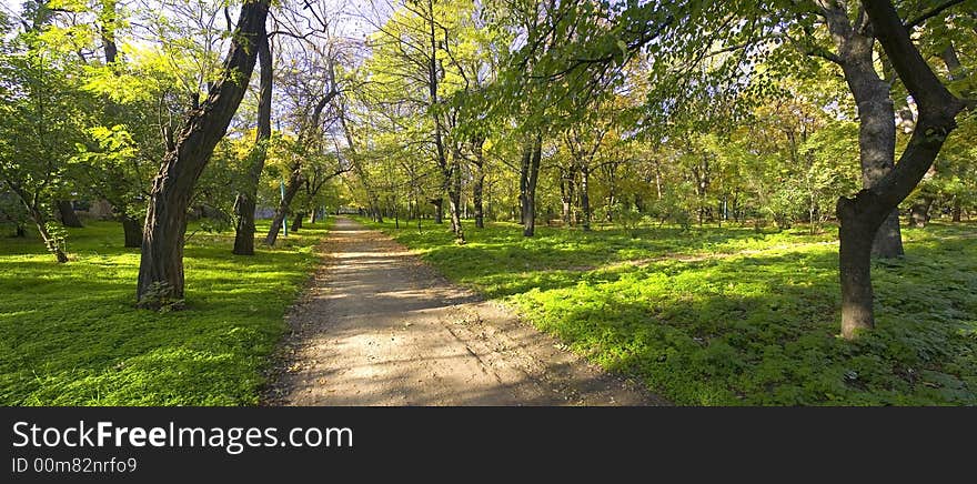 Autumn park. The city of Taganrog. The Rostov area. Russia. Autumn park. The city of Taganrog. The Rostov area. Russia.