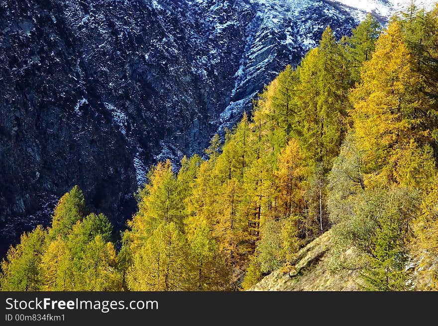 Changing colors in the Alps during early Fall; Italy. Changing colors in the Alps during early Fall; Italy.