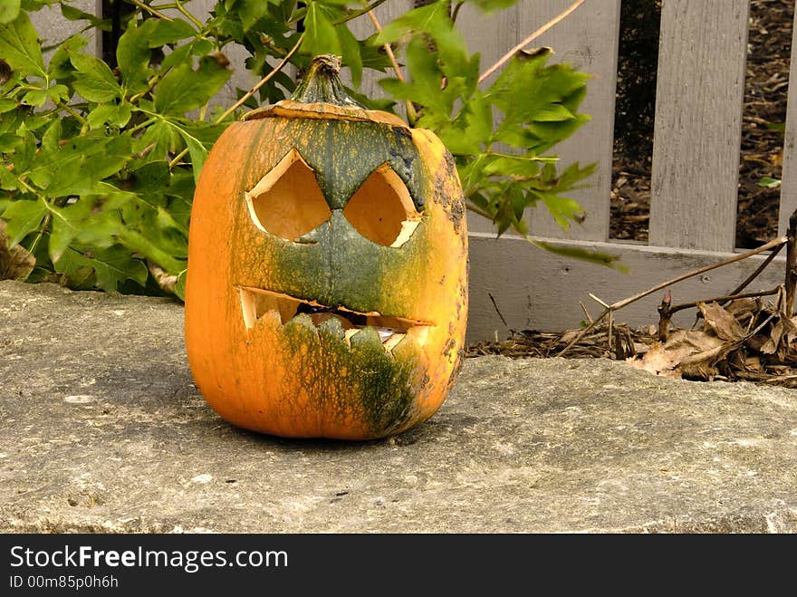 Range of emotions expressed in the pumpkin garden series. Range of emotions expressed in the pumpkin garden series