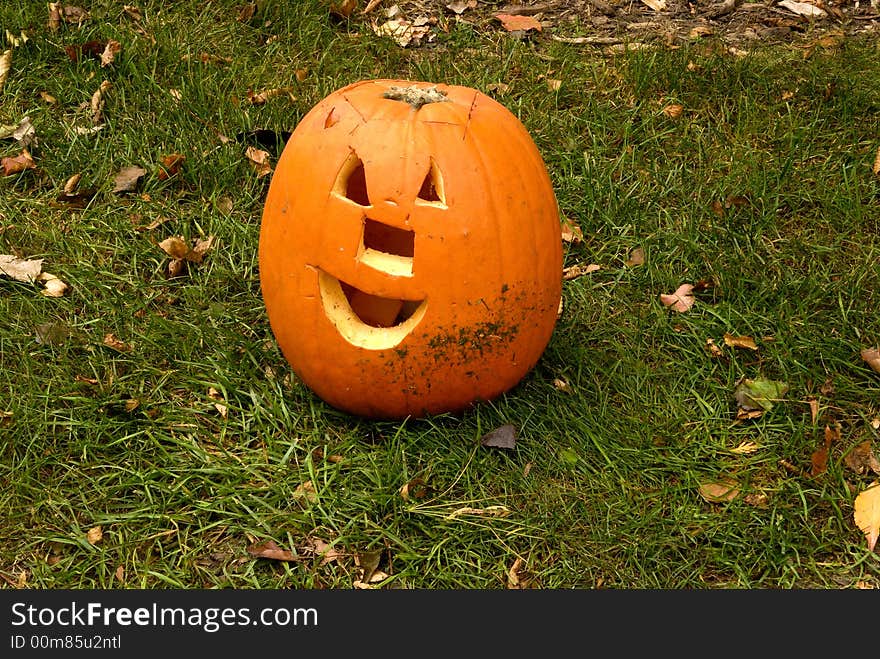 Range of emotions expressed in the pumpkin garden series-happy. Range of emotions expressed in the pumpkin garden series-happy