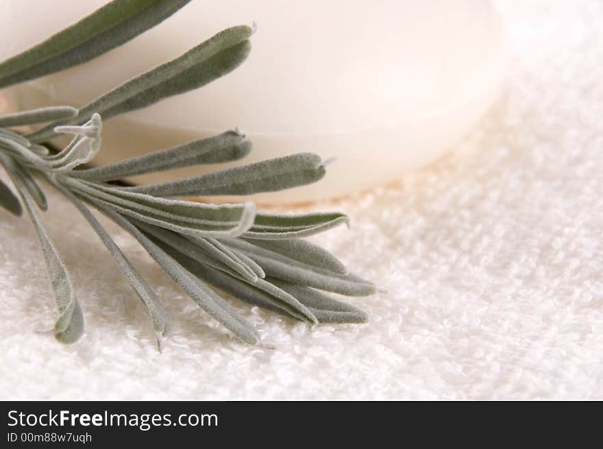 Milk Soap And Fresh Herbs