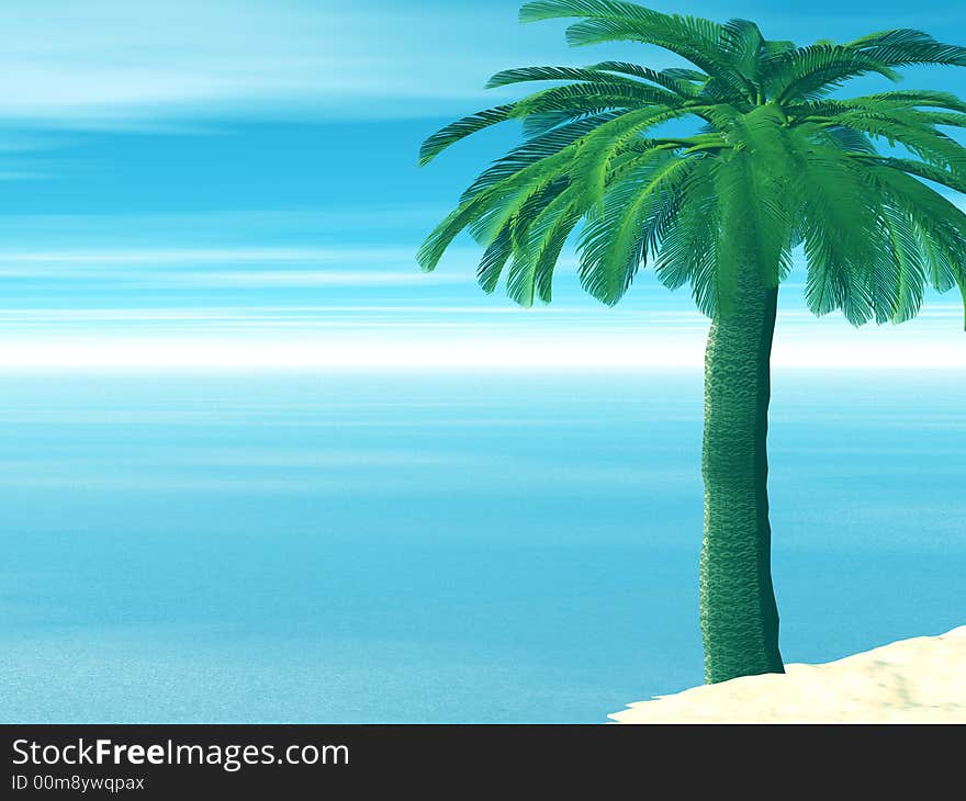 Beautiful landscape with palm tree