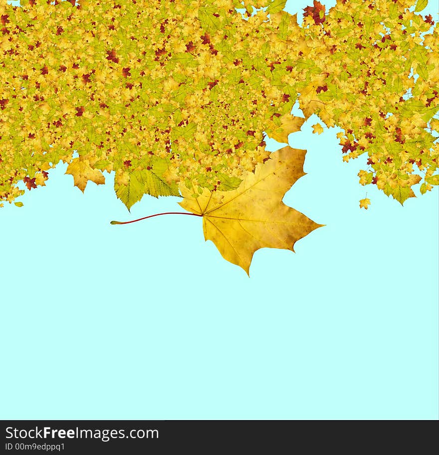 Abstract yellow and red leaf background.