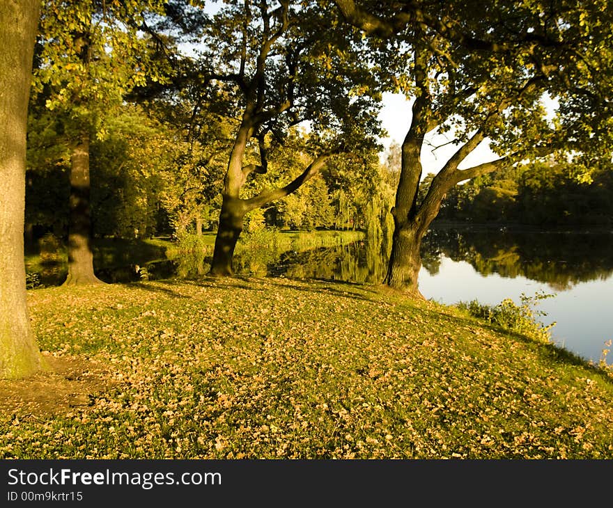 Autumn in park