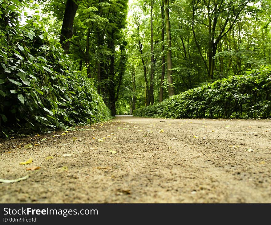 Beautiful brown path in royal park - Warsaw