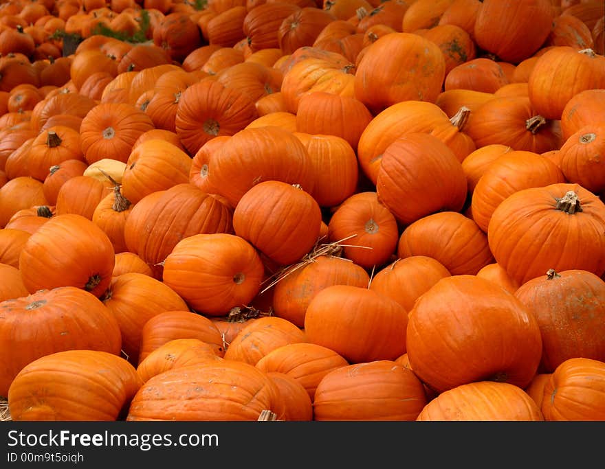 Mound Of Pumpkins