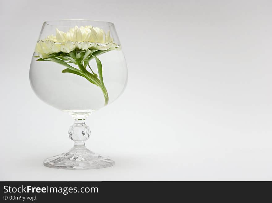 White flower in a glass. White flower in a glass.