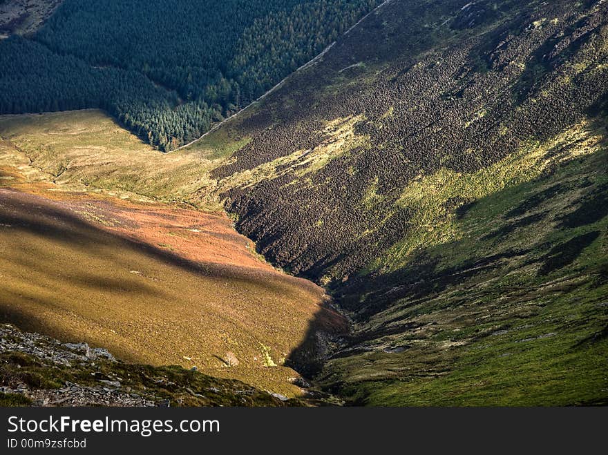 A Mountain valley on the side of Grizedale Pike in the English Lake District, showing differing types of vegetation in dappled sunlight