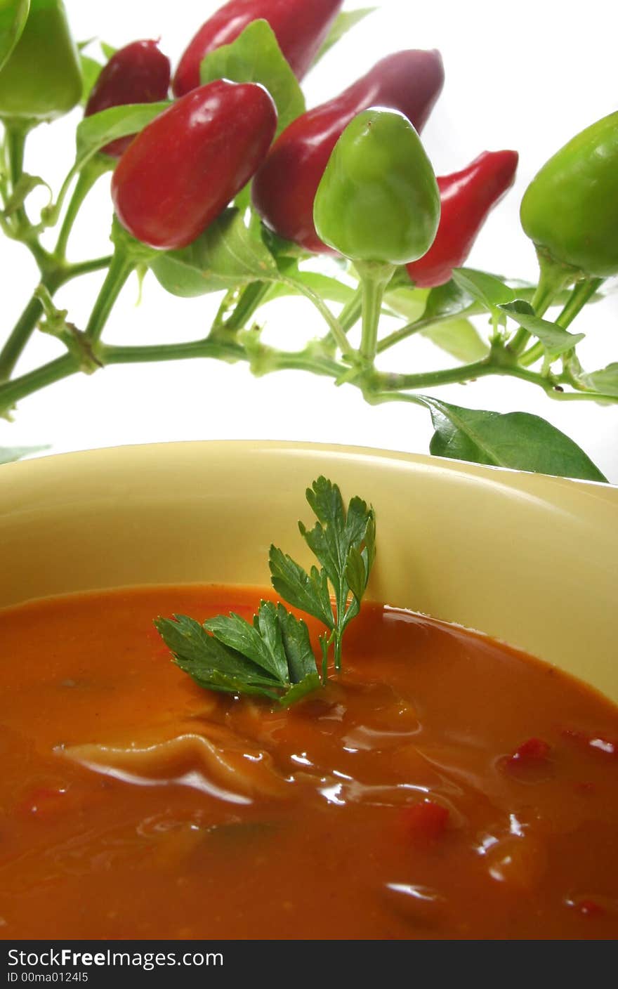 Homemade Vegetable Soup with red and green paprika