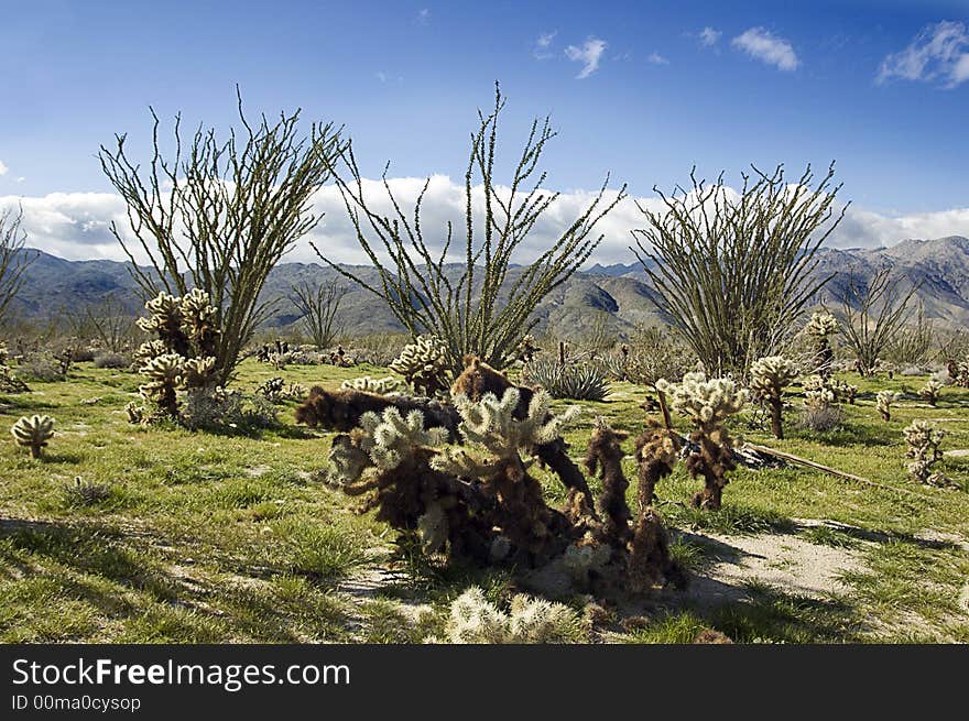 Remote Southwest Desert Area Anza Borrego