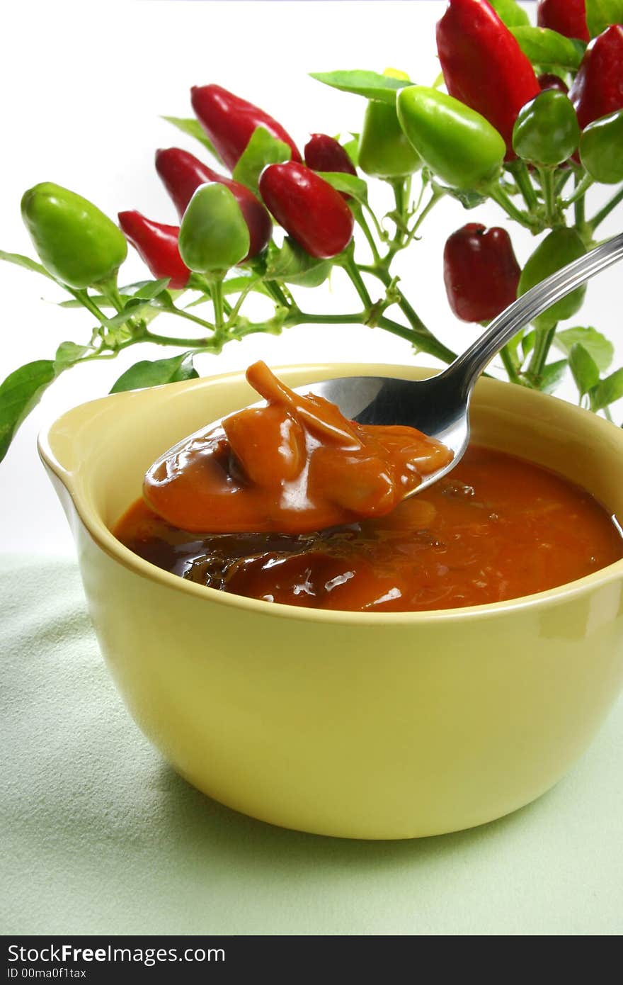 Homemade Vegetable Soup with red and green paprika