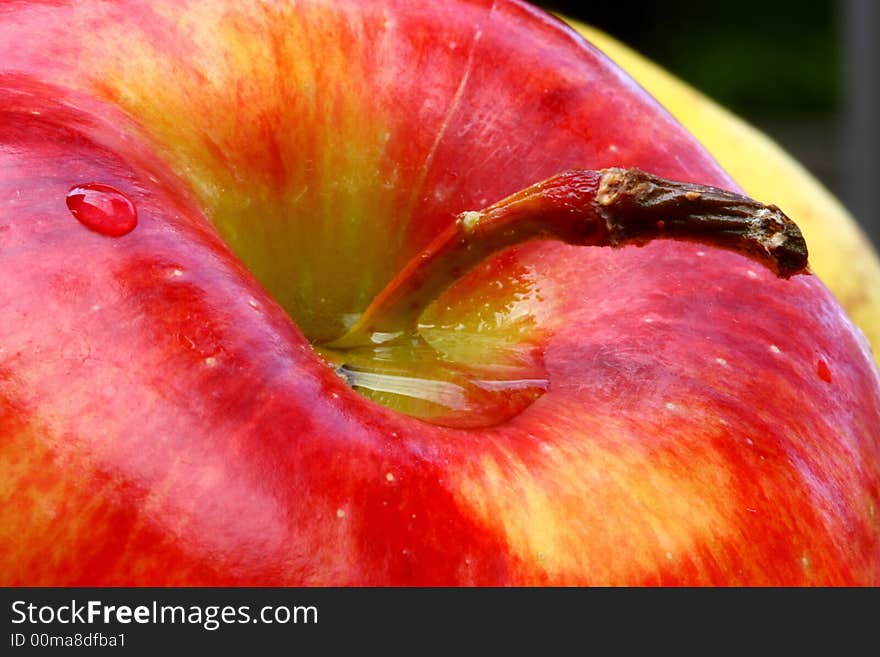 Close up up red apples. Close up up red apples