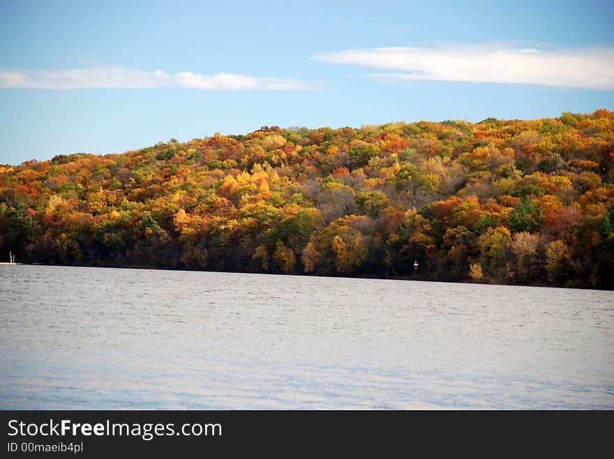 Colorful trees on the river bank. Colorful trees on the river bank.