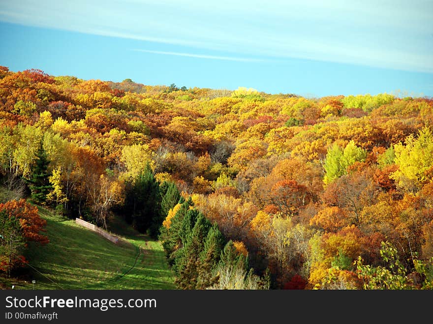 Colorful trees on the river bank. Colorful trees on the river bank.