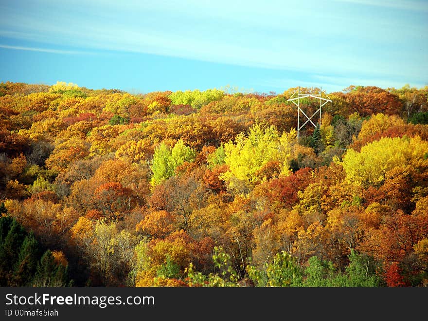 Colorful trees on the bluff. Colorful trees on the bluff.